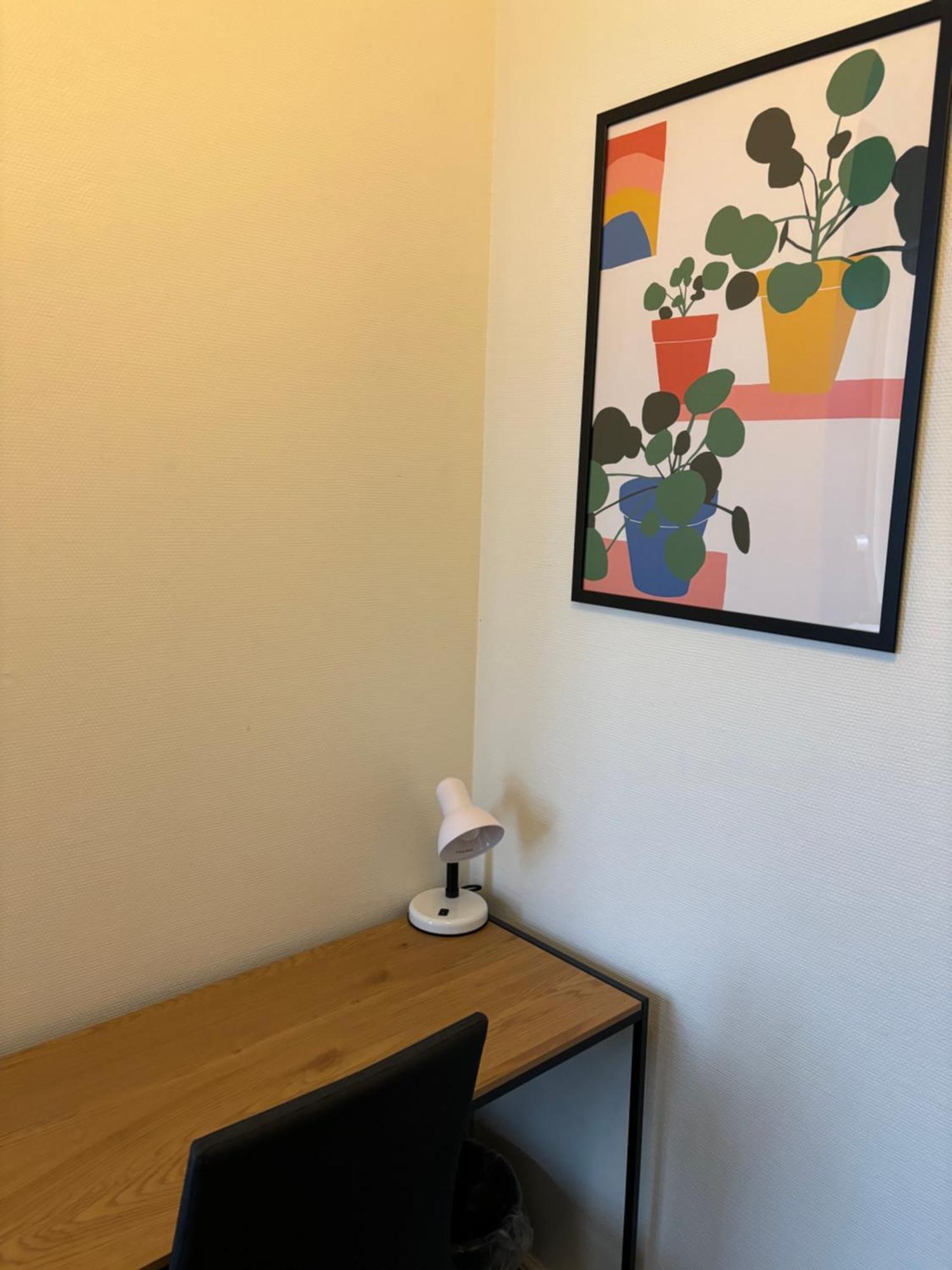 Danhostel Odense City Екстериор снимка A Google Home Hub